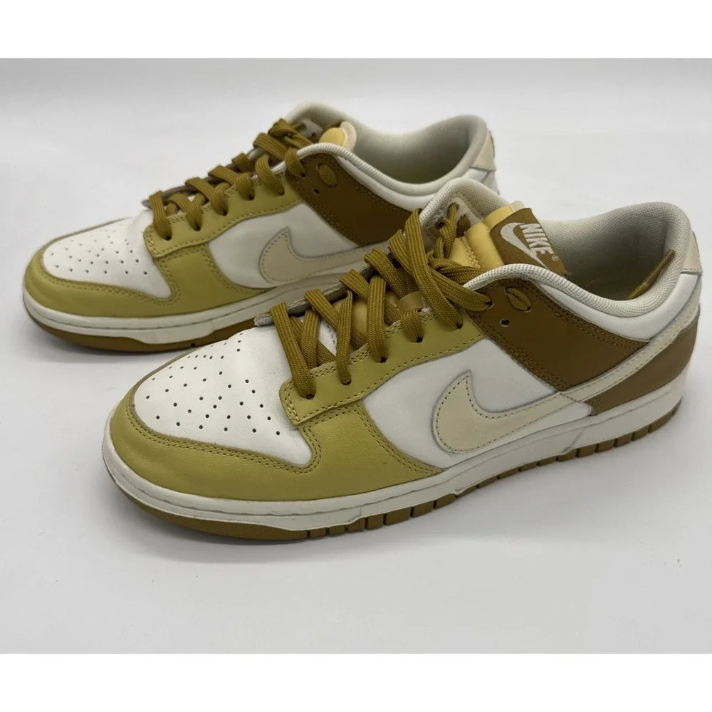 Nike Dunk Low Retro Bronzine Men Lifestyle Casual Shoes Sneakers FZ4042-716